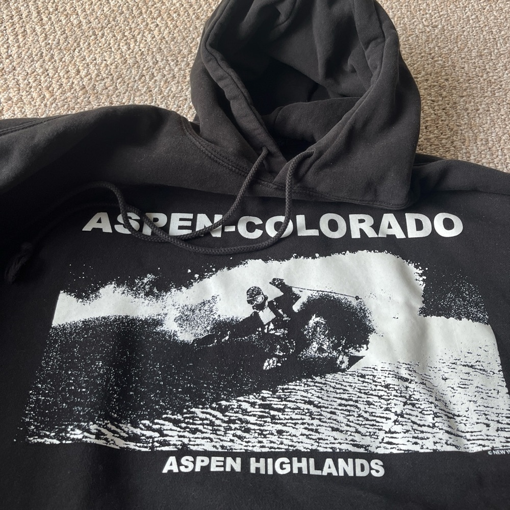 Brandy Melville hoodie